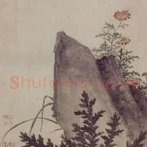 明代 项圣谟《易庵妙绘图册》国画花鸟作品图片鉴赏