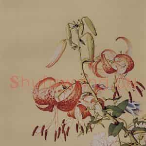 清代 朗世宁《仙萼长春图——百合缠枝牡丹》国画花鸟作品图片鉴赏