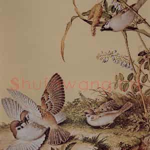 清代 朗世宁《仙萼长春图——谷花稷穗》国画花鸟作品图片鉴赏