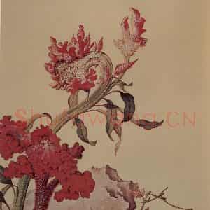 清代 朗世宁《仙萼长春图——鸡冠花》国画花鸟作品图片鉴赏