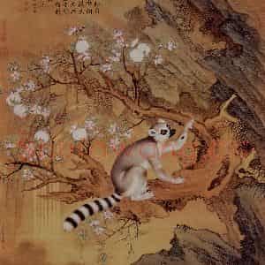 清代 朗世宁《交趾果然图》国画综合作品图片鉴赏
