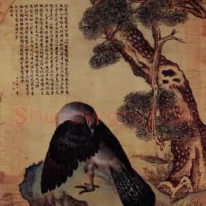 清代 朗世宁《松鸟图》国画花鸟作品图片鉴赏