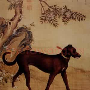 清代 朗世宁《十骏犬——雪爪卢》国画作品图片鉴赏
