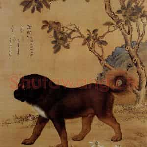 清代 朗世宁《十骏犬——苍猊》国画作品图片鉴赏
