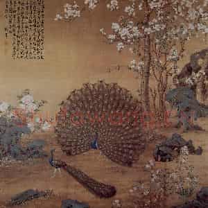 清代 朗世宁《孔雀开屏图》国画花鸟作品图片鉴赏