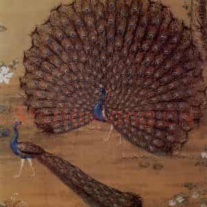 清代 朗世宁《孔雀开屏图》国画花鸟作品图片鉴赏