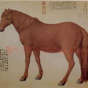 清代 朗世宁《十骏图——大宛骝》国画作品图片鉴赏