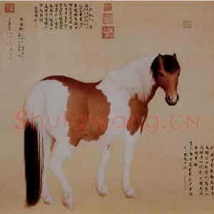 清代 朗世宁《十骏图——蹑云驶》国画作品图片鉴赏