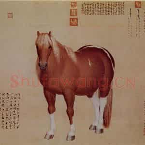 清代 朗世宁《十骏图——雪点雕》国画作品图片鉴赏
