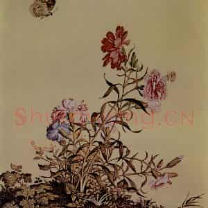 清代 朗世宁《仙萼长春图——石竹》国画花鸟作品图片鉴赏