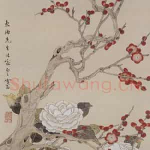 陈之佛《珠梅白茶花》国画花鸟工笔作品图片鉴赏