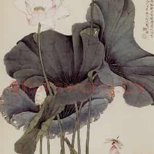 1941年 于非闇《荷花》国画花鸟工笔作品图片鉴赏