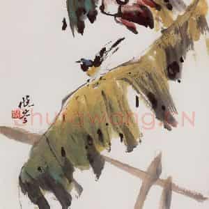 2001年 袁晓岑《芭蕉花》国画花鸟写意作品图片鉴赏