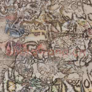 2003年 石虎《豹花》国画人物作品图片鉴赏