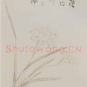 溥心畲《凌波仙子》国画花鸟作品图片鉴赏