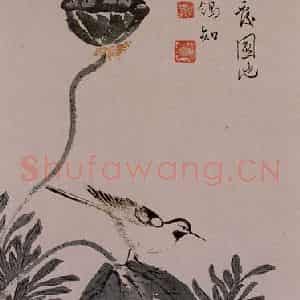 1945年 溥心畲《秋荷鹡鸰》国画花鸟作品图片鉴赏