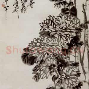 民国 吴昌硕《墨菊》国画花鸟作品图片鉴赏