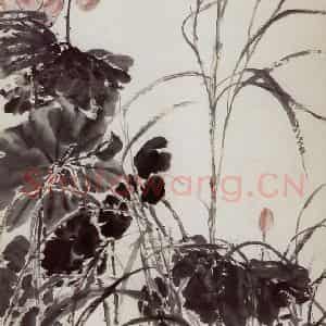 清代 吴昌硕《荷花》国画花鸟作品图片鉴赏