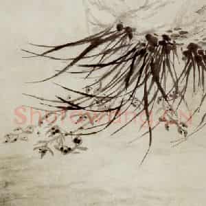 清代 吴昌硕《兰花霜月》国画花鸟作品图片鉴赏