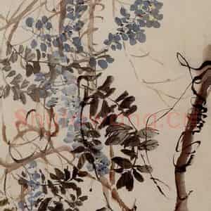 清代 吴昌硕《藤花》国画花鸟作品图片鉴赏