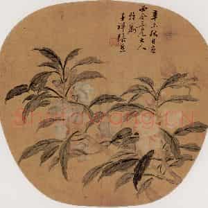 清代 张熊《花卉图》国画花鸟作品图片鉴赏