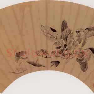 清代 恽寿平《青菜蘑菇图》国画花鸟作品图片鉴赏