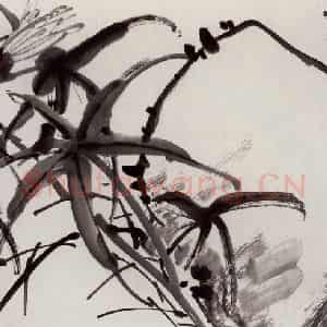 无纪年 陈师曾《秋葵》国画花鸟作品图片鉴赏