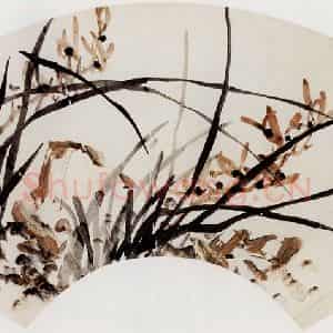 无纪年 陈师曾《兰花扇面》国画花鸟作品图片鉴赏