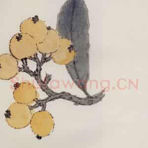无纪年 陈师曾《枇杷》国画花鸟作品图片鉴赏