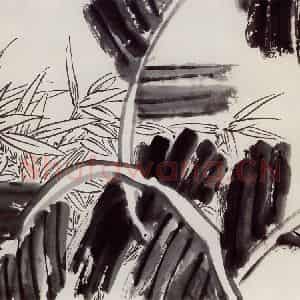 无纪年 陈师曾《芭蕉竹叶》国画花鸟作品图片鉴赏