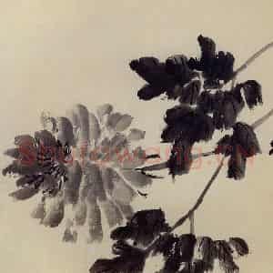 无纪年 陈师曾《墨牡丹》国画花鸟作品图片鉴赏