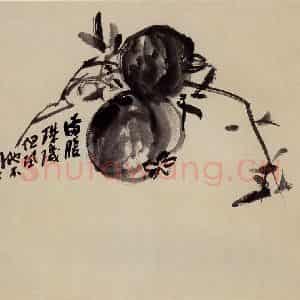 无纪年 陈师曾《墨石榴》国画花鸟作品图片鉴赏