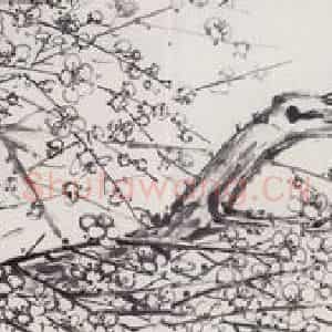 无纪年 陈师曾《梅花》国画花鸟作品图片鉴赏