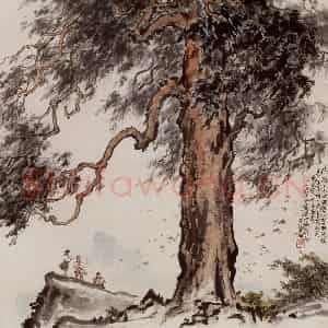 1964年 张安治《庐山梭罗树》国画花鸟作品图片鉴赏