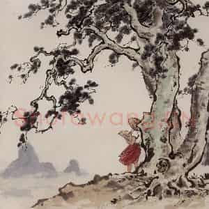 1961年 张安治《白皮松》国画花鸟作品图片鉴赏