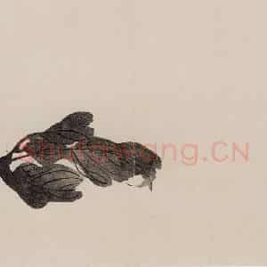 清代 高其佩《高其佩竹石花卉图册》国画花鸟作品图片鉴赏
