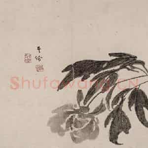 清代 高其佩《高其佩竹石花卉图册》国画花鸟作品图片鉴赏