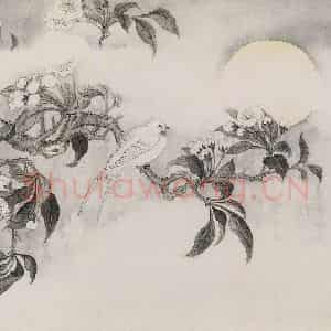 清代 蒋廷锡《蒋廷锡花鸟图册》国画花鸟作品图片鉴赏