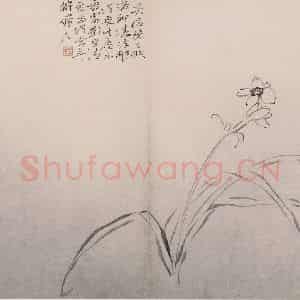 清代 陈撰《陈撰花卉图册》国画花鸟作品图片鉴赏