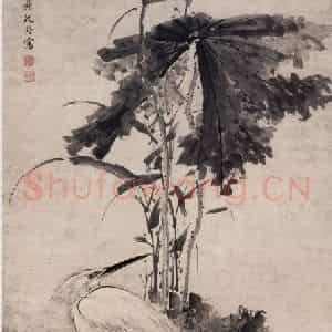 清代 沈铨《沈铨荷花鹭鸶图轴》国画花鸟作品图片鉴赏