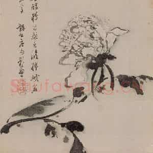 清代 高凤翰《高凤翰花卉图册》国画花鸟作品图片鉴赏