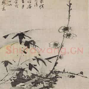 清代 高凤翰《高凤翰花卉图册》国画花鸟作品图片鉴赏