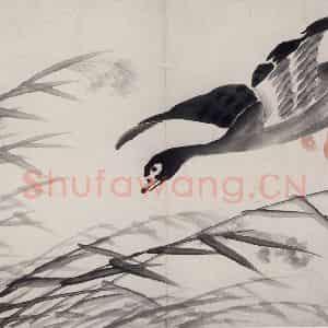 清代 边寿民《边寿民芦雁图册》国画花鸟作品图片鉴赏