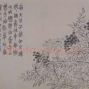 清代 金农《金农杂画图册》国画综合作品图片鉴赏