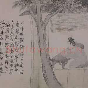清代 金农《金农杂画图册》国画综合作品图片鉴赏