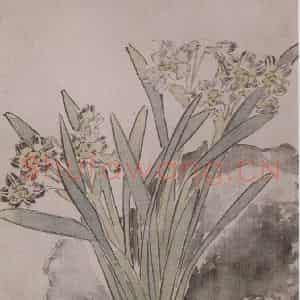 清代 任薰《任薰翎毛花卉图册》国画花鸟作品图片鉴赏