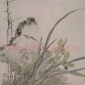 清代 任薰《任薰翎毛花卉图册》国画花鸟作品图片鉴赏
