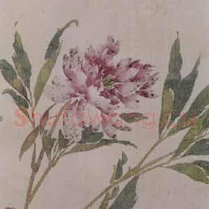 清代 任薰《任薰翎毛花卉图册》国画花鸟作品图片鉴赏