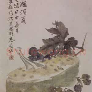 清代 任颐《任颐花果图册》国画花鸟作品图片鉴赏