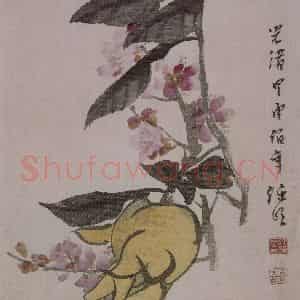 清代 任颐《任颐花果图册》国画花鸟作品图片鉴赏